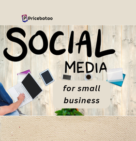 Social Media for Small Business: The Smartest Way to Grow Your Brand Online: price batao